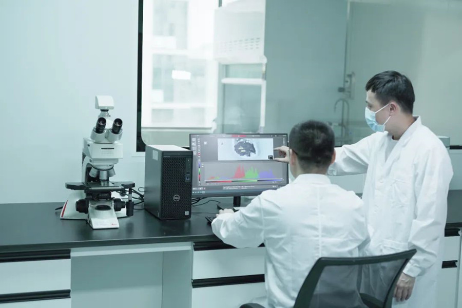 ��ҳ| ��ȦΪdu�����������