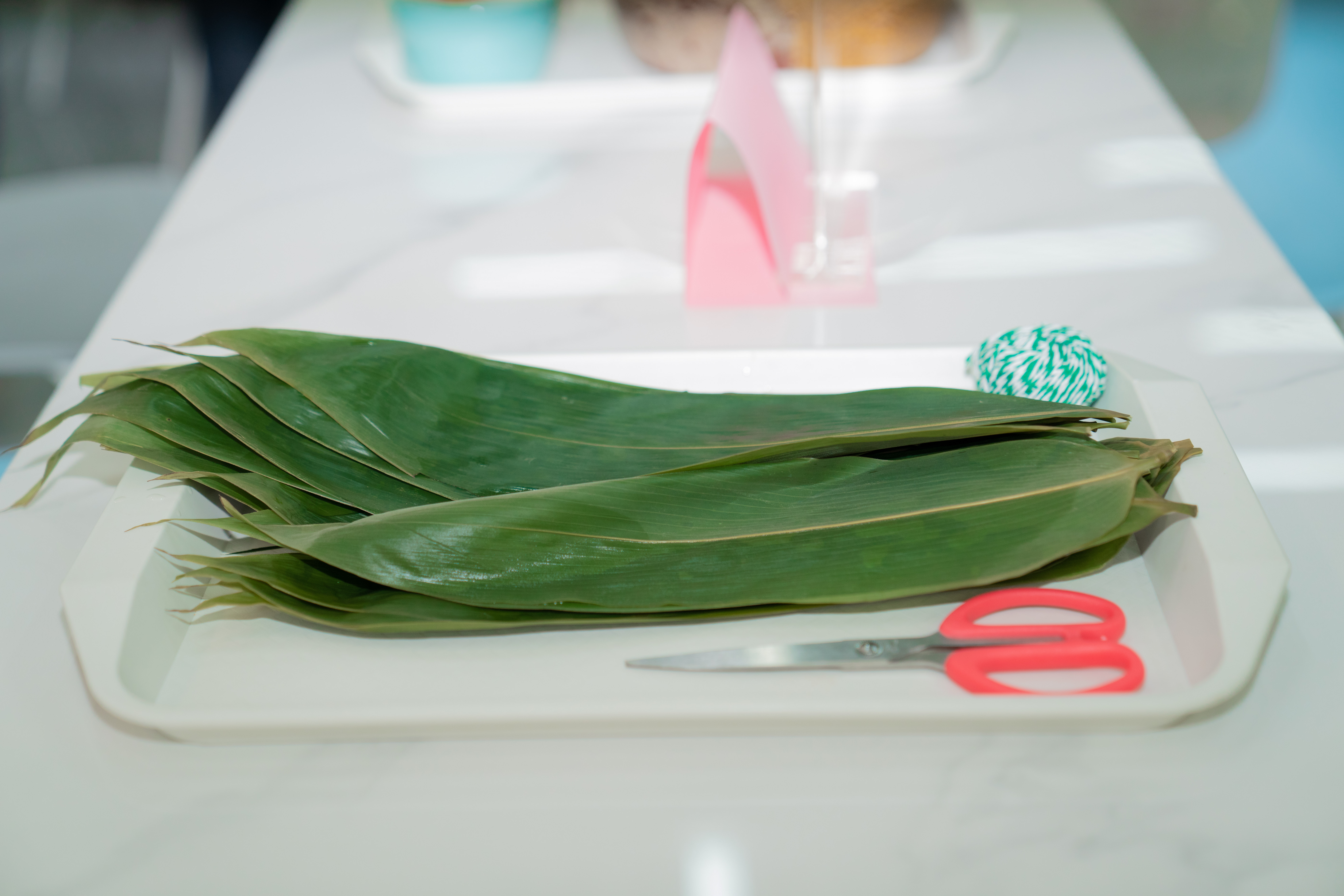 ��ҳ| ��ȦΪdu�����������