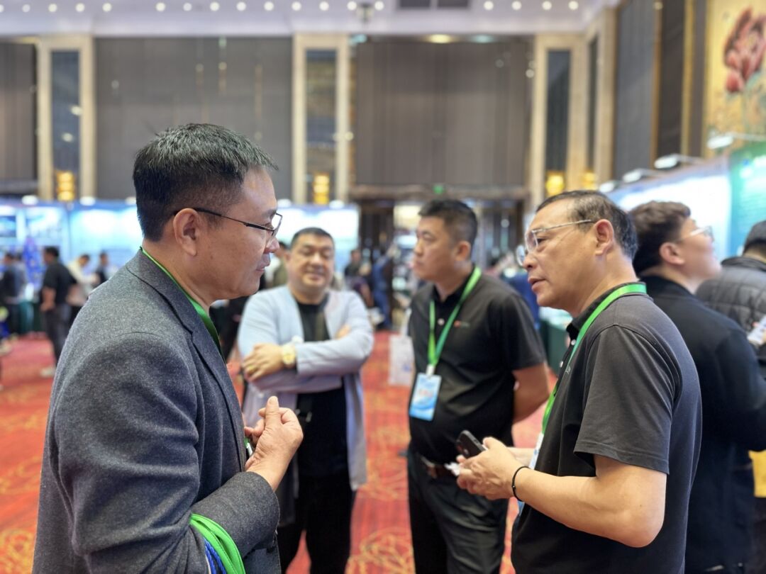 ��ҳ| ��ȦΪdu�����������