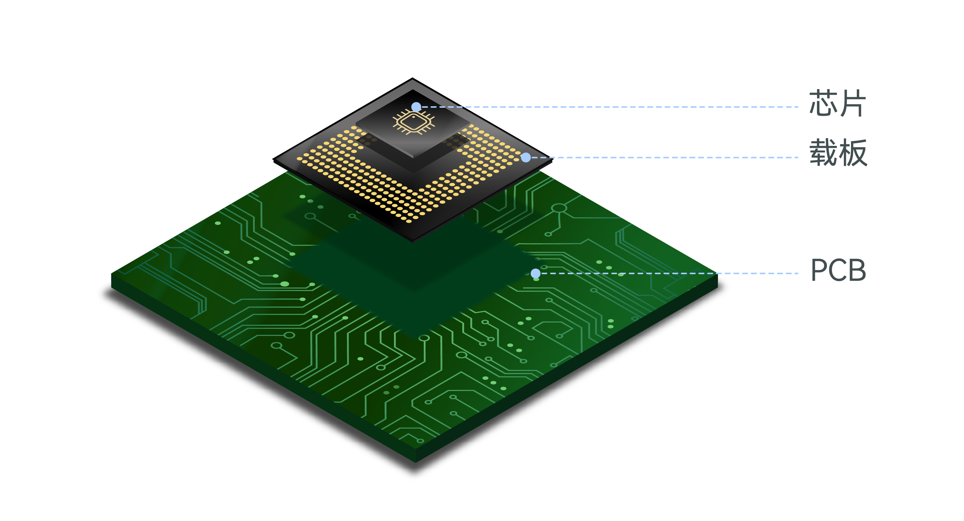 ��ҳ| ��ȦΪdu�����������